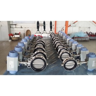 Pneumatic actuated wafer butterfly valve