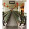 Passenger Conveyor / Auto-Walk (SME12/1000)