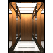 Small Machine Room Passenger Elevator (ALD-KC16023)