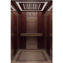 Qualified Passenger Elevator with Rose-Gold Mirror (ALD-KC012)