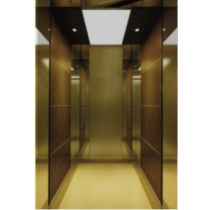 Wood Veneer Mirror Passenger Elevator (ALD-KC028)
