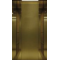Wood Veneer Mirror Passenger Elevator (ALD-KC028)