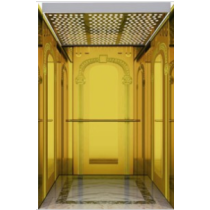 Ti-Plated Stainless Steel Passenger Elevator (ALD-KC001)