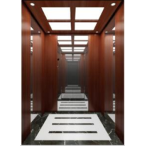 Aolida Machine Roomless Passenger Elevator