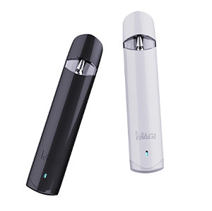 Newest Empty disposable CBD/THC vape device  with ceramic coil