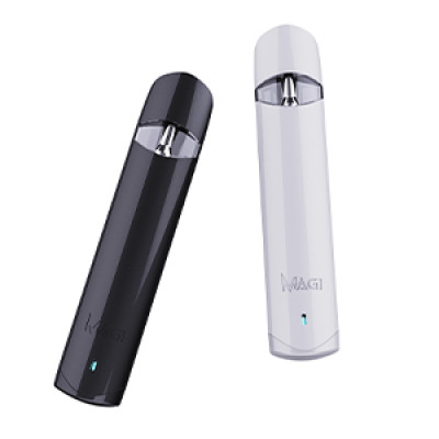Newest Empty disposable CBD/THC vape device  with ceramic coil