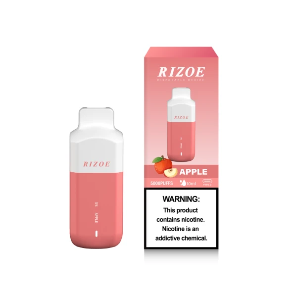 China Top 10 Vape Manufacturer Factory Price 10ml 5000 Puffs Disposable Vape Pen Ecig Disposable Maskking Vape