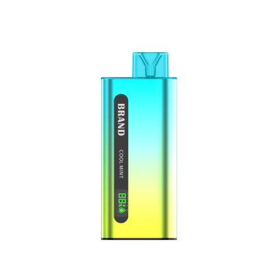 RIZOE 8000 - Digital Display Disposable Vape