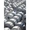 cold rolled low carbon steel coil