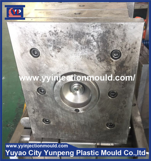 Nylon Electrical Shell Plastic Case Injection Mould (from Tea)