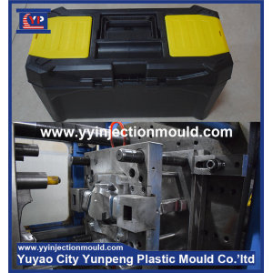 Professional OEM portable plastic mould work tool box mould supplier