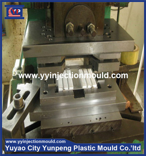 custom precision metal stamping die (from Tea)
