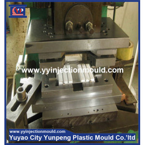custom precision metal stamping die (from Tea)