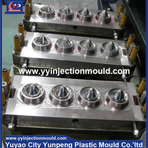 Plastic auto front light shell injection moulds (from Tea)