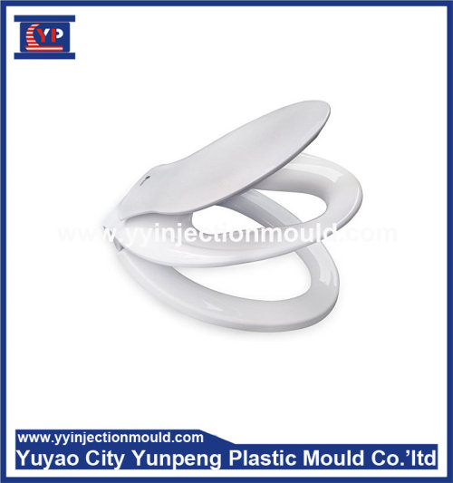 Plastic toilet lid injection mould plastic toilet seat cover moulding  (From Cherry)