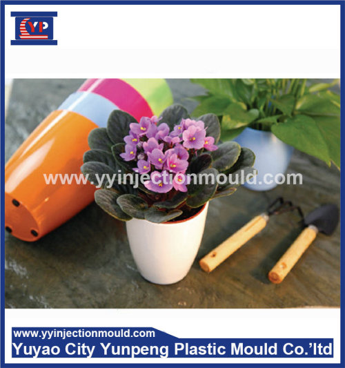 Guaranteed Quality Injection Plastic Mop Bucket Mold