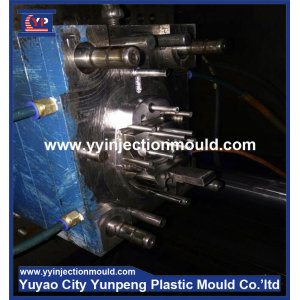 Yuyao Yunpeng Plastic Injection Mould For ABS Plastic Shell With Good Quality  (From Cherry)