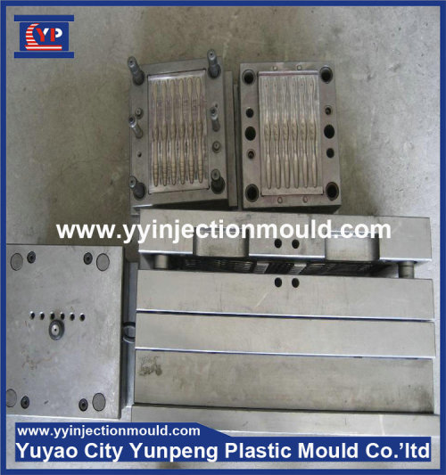 High precision plastic toothbrush injection mould maker in china (from Tea)