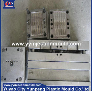 Yuyao plastic mould maker toothbrush handle mould (from Tea)
