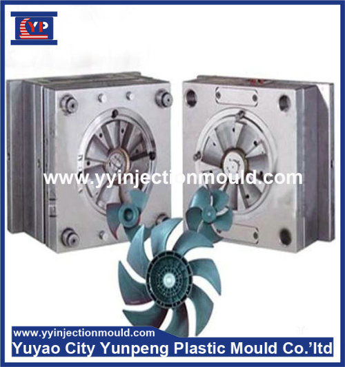 Customize Injection plastic fans mould (from Tea)