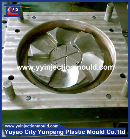 home appliances production mold / fan parts injection plastic moulds (from Tea)