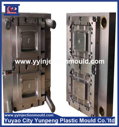 transparent plastic injection mold tooling decorate box mould (from Tea)