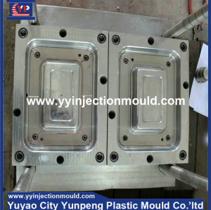 China supplier OEM cheap storage case/ box/container plastic injection mold factory (from Tea)