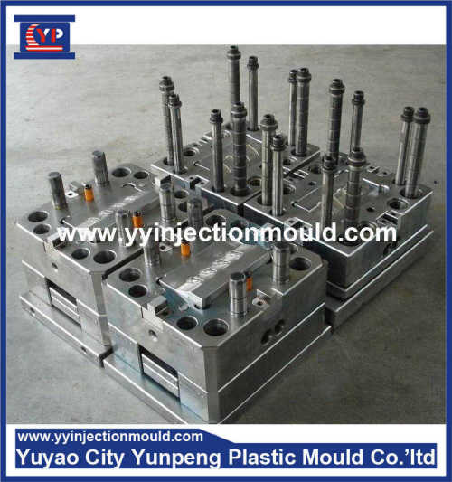 Professional factory plastic injection mold/molding/tooling with competitive price  (From Cherry)