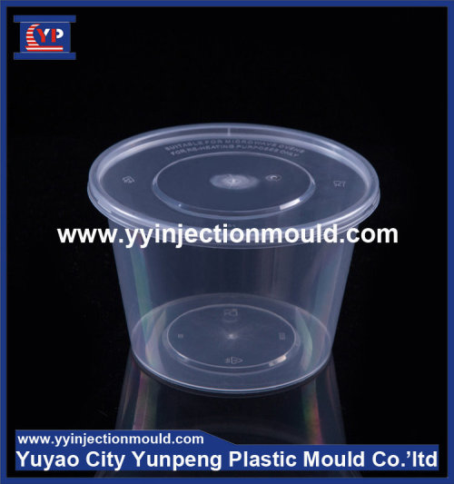 Special Plastic Thin Wall Box Mould/plastic container mold/plastic container mould (from Tea)