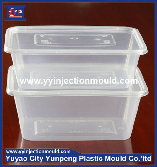 ODM thin wall plastic food box container mould for injection (from Tea)