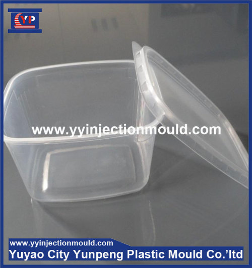 Thin wall injection plastic mould plastic box moluld plastic injection mould (from Tea)