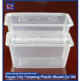 High quality plastic injection thin wall lunch box mould/molding (from Tea)