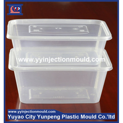 High quality plastic injection thin wall lunch box mould/molding (from Tea)