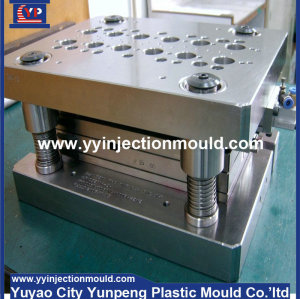 Yuyao Yunpeng Plastic Injection Mould/Tools Making/Maker and Molding Factory/Manufacturer (From Cherry)