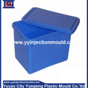 Plastic injection moulding/molding sale and plastic products for storage box/container (from Tea)