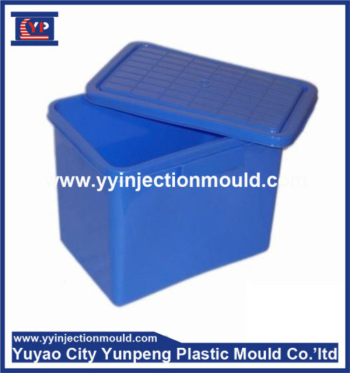 zhejiang ningbo plastic injection molding factory to Plastic Storage box mold (from Tea)