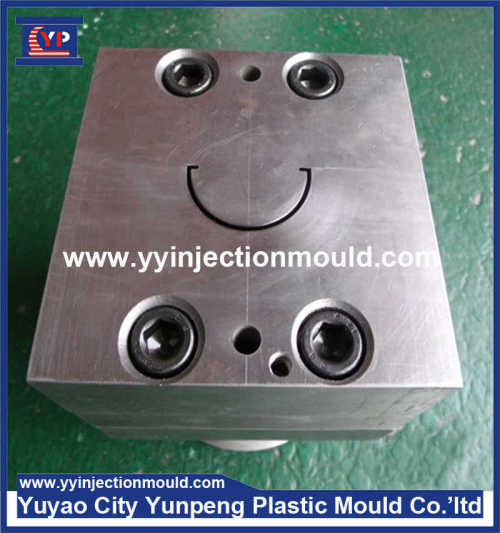 Customized Precision Plastic Tooling Mold LED Light Housing Making  (From Cherry)
