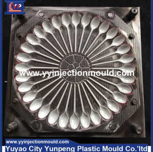 Good quality for plastic injection mold of spoon molding/mould maker  (From Cherry)