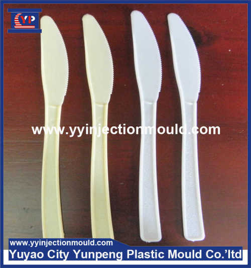 Best products plastic part injection moulders for kitchen accessories plastic fork/plastic spoon mould  (From Cherry)