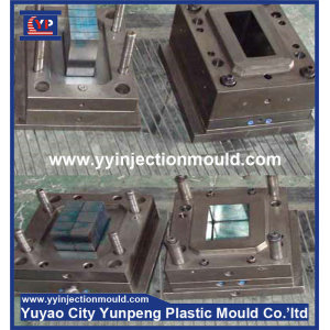Customized Plastic injection mould  (from Tea)
