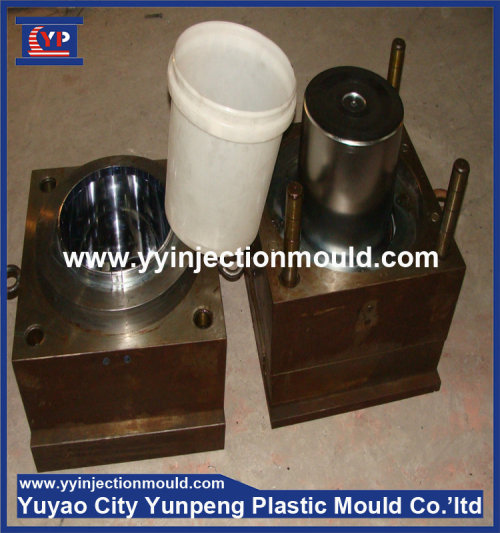 Customized Plastic injection mould  (from Tea)
