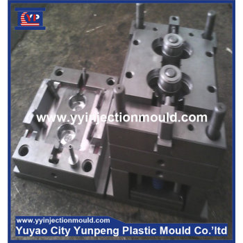 High quality Plastic injection mould maker (from Tea)