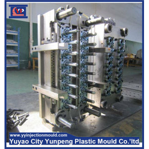 Perfume tube mold plastic injection mould (Amy)