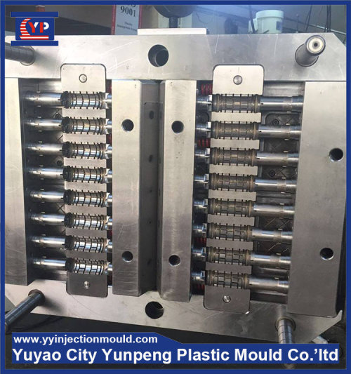 Perfume tube mold plastic injection mould (Amy)
