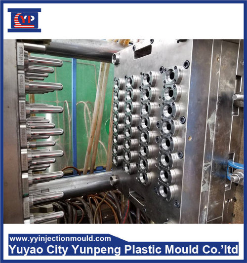 Perfume tube mold plastic injection mould (Amy)