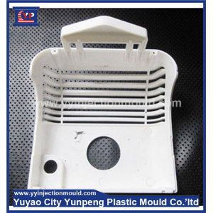 china plastic TV display cover moud (Amy)