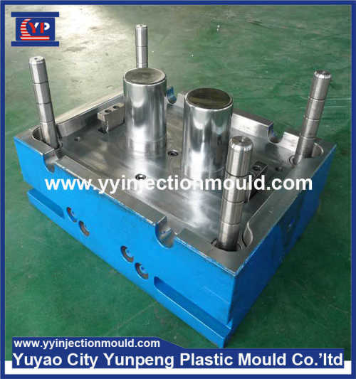injection mold for plastic cold water cup/bottle (From Cherry)