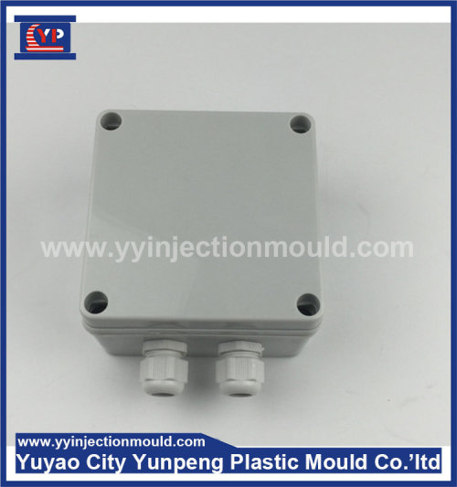 distribution box supplies with leakage protection plastic box mold (Amy)