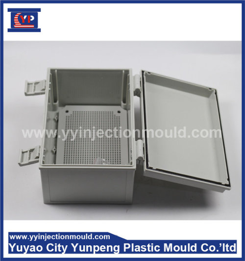 power distribution box plastic mold (Amy)