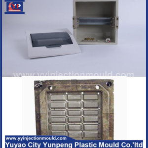 China factory cheap price distribution box mold, plastic injection distribution box mould (Amy)
